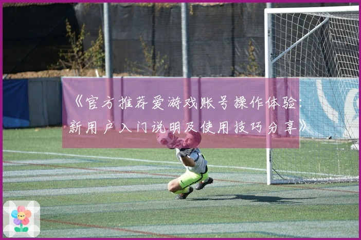 《官方推荐爱游戏账号操作体验：新用户入门说明及使用技巧分享》