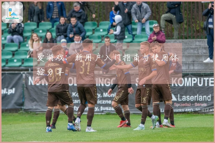 爱游戏：新用户入门指南与使用体验分享